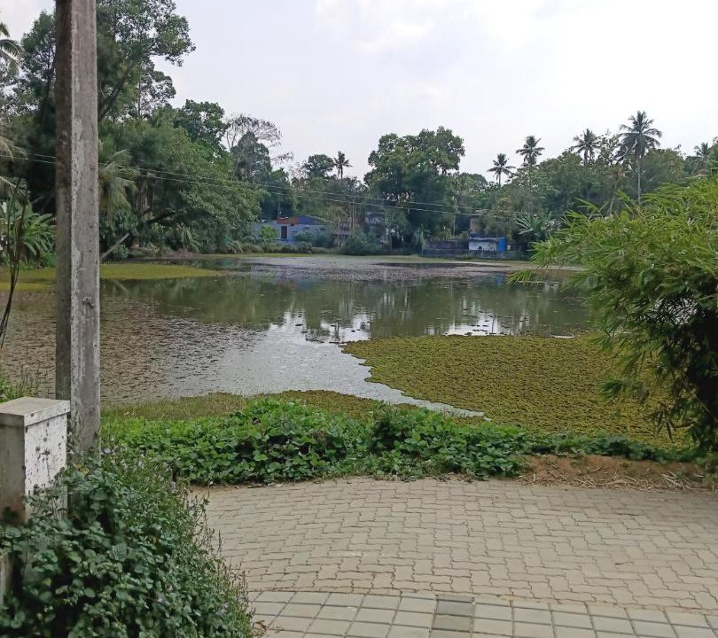 Photo of Others in Perumbavoor