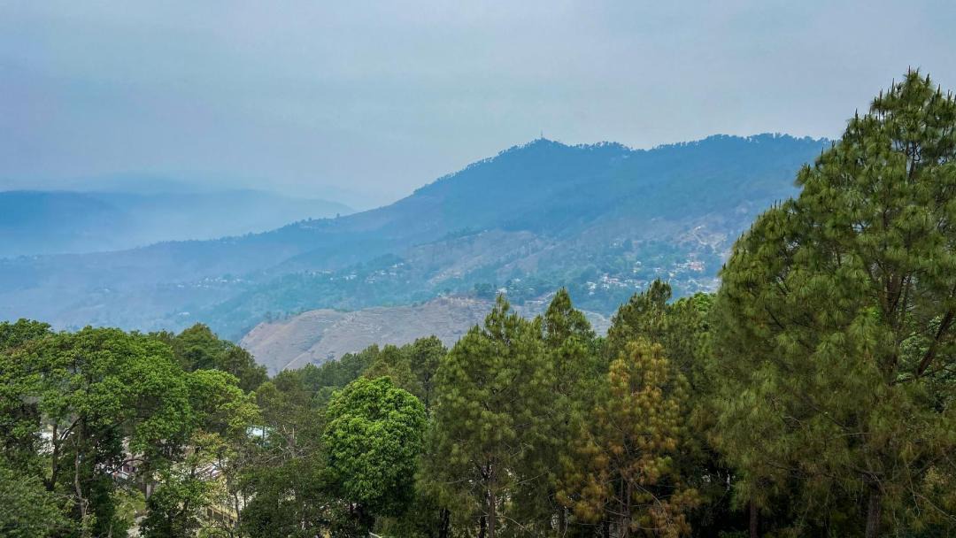 Photo of Others in Almora