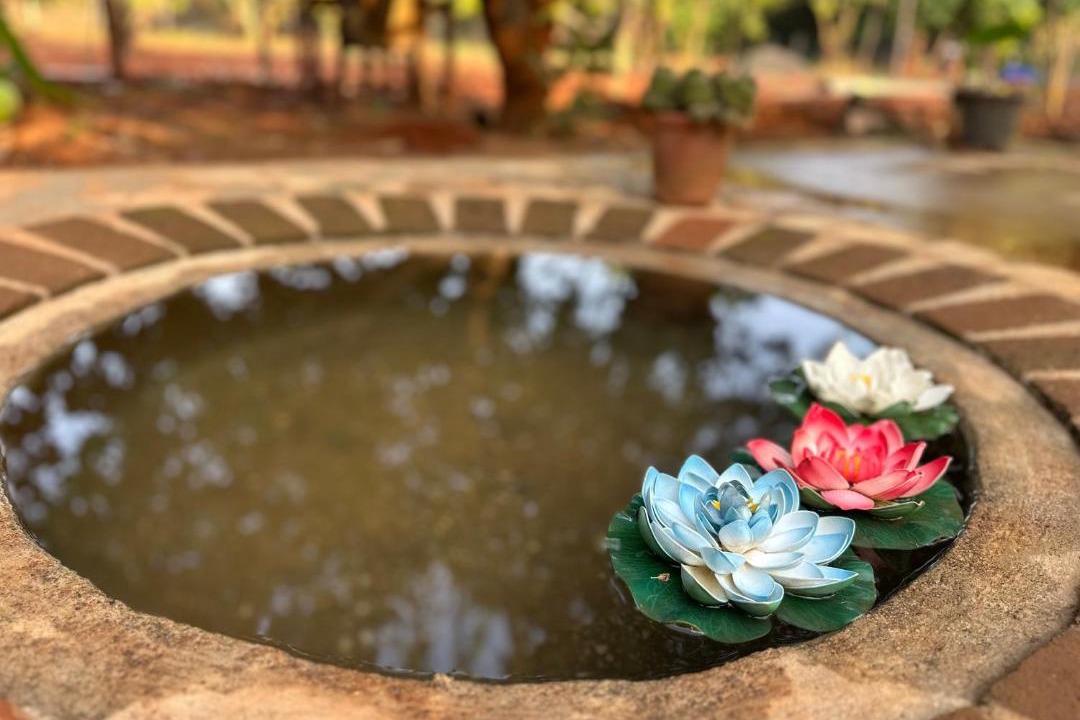 Photo of Others in Auroville