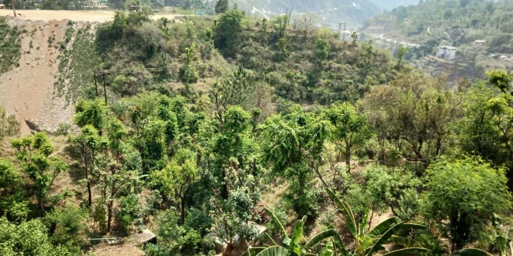Photo of Others in Rudraprayag