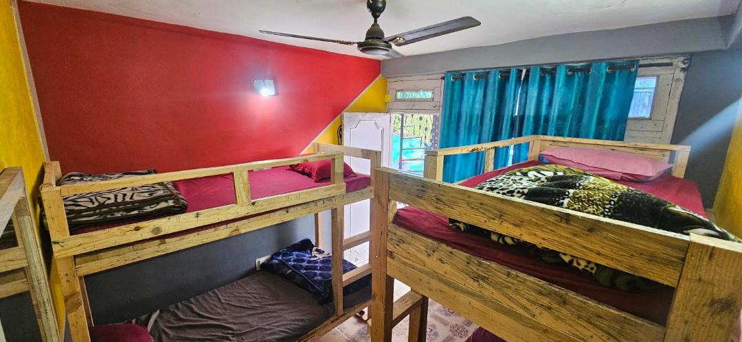 Photo of Others in Kasol