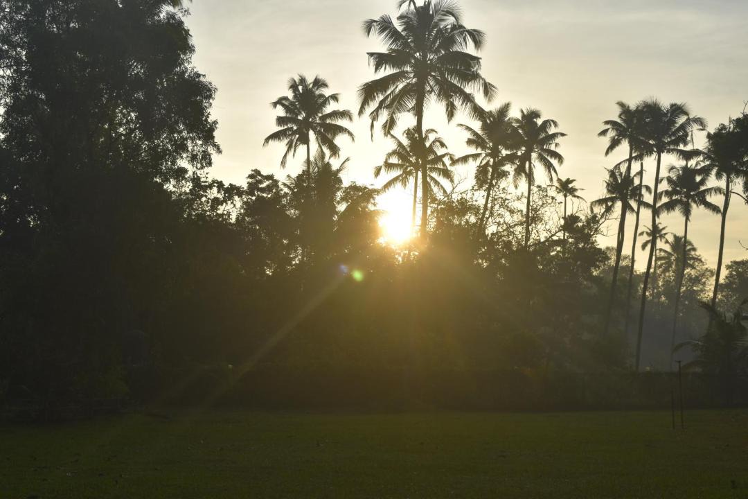 Photo of Others in Mararikulam