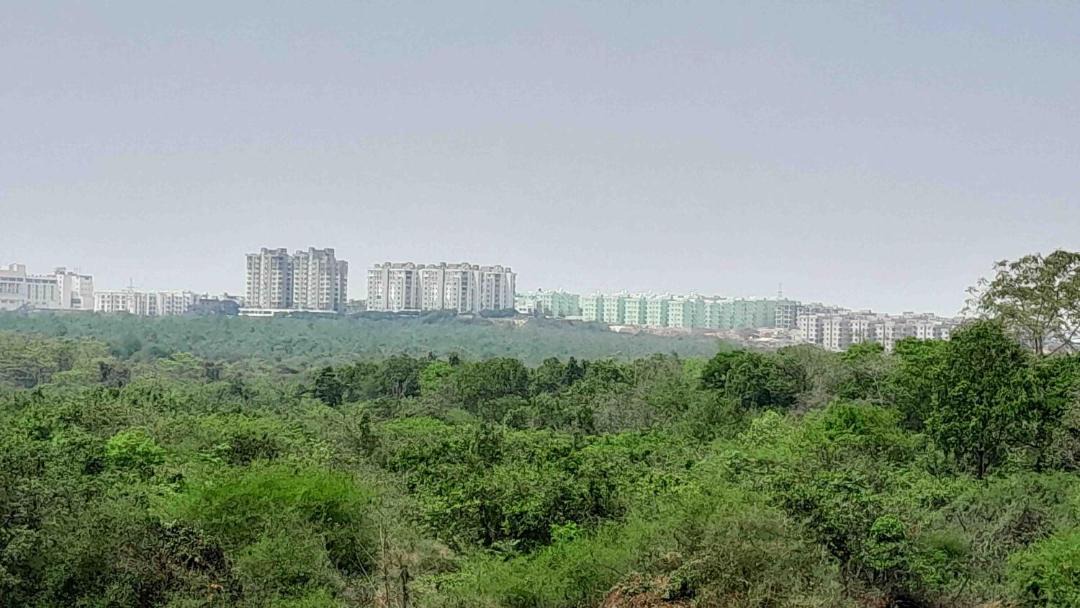 Photo of Buildings in Bhubaneshwar