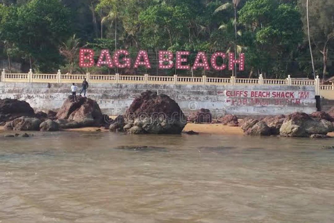 Photo of Others in Baga