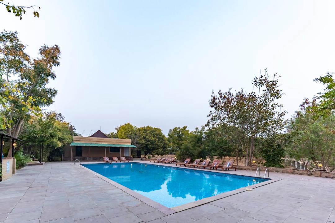 Photo of Others in Sariska