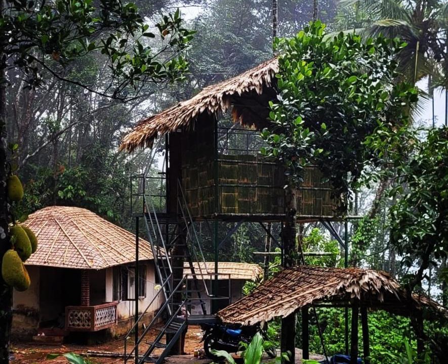 Photo of Others in Devikolam