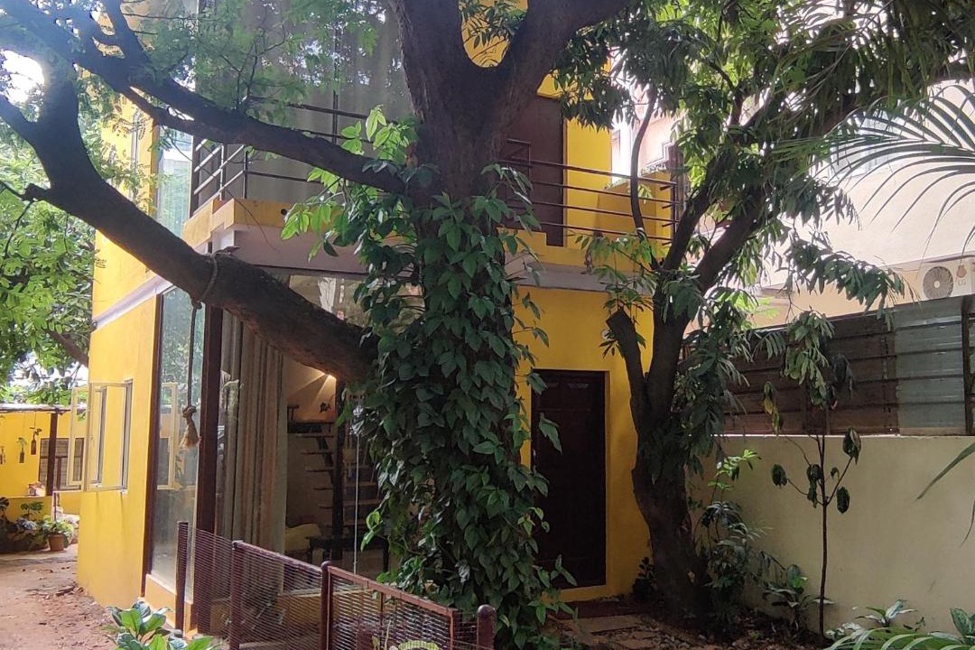 Photo of Others in Bengaluru