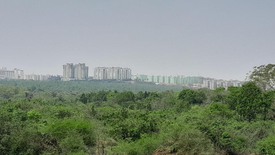 Photo of Buildings in Bhubaneshwar