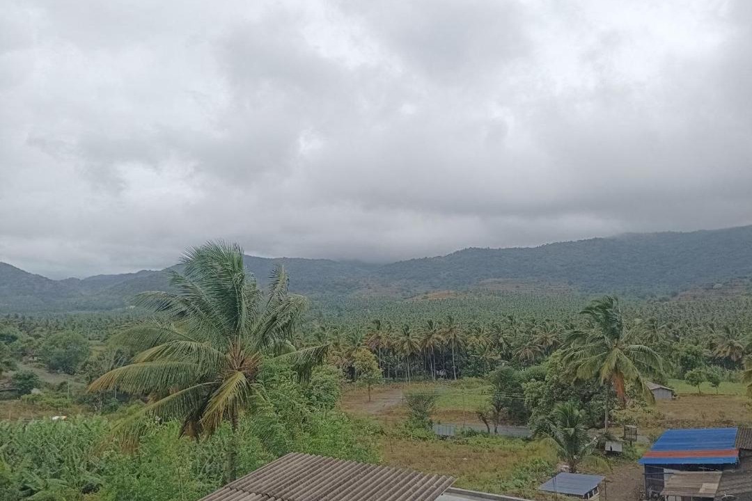 Photo of Others in Kottathara