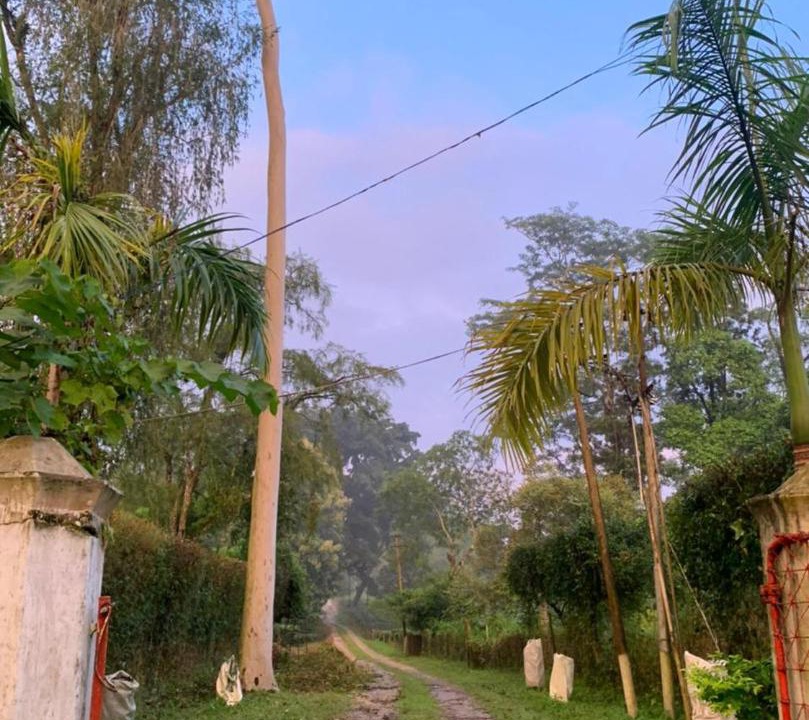Photo of Others in Bokakhat