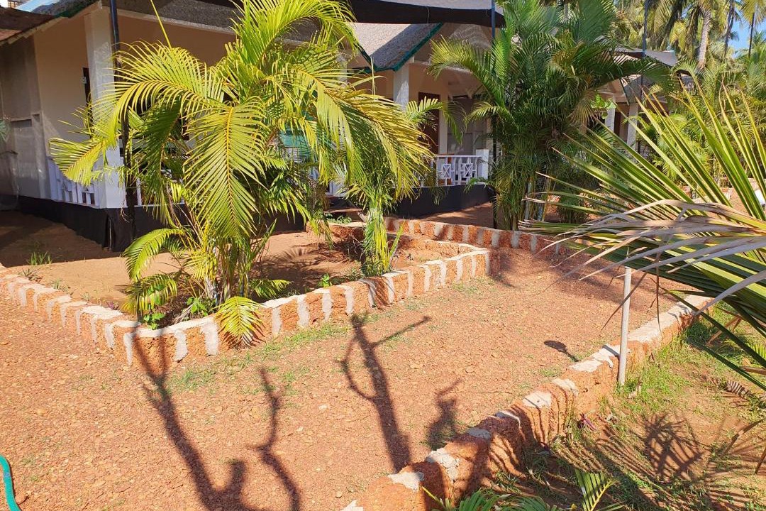Photo of Others in Agonda