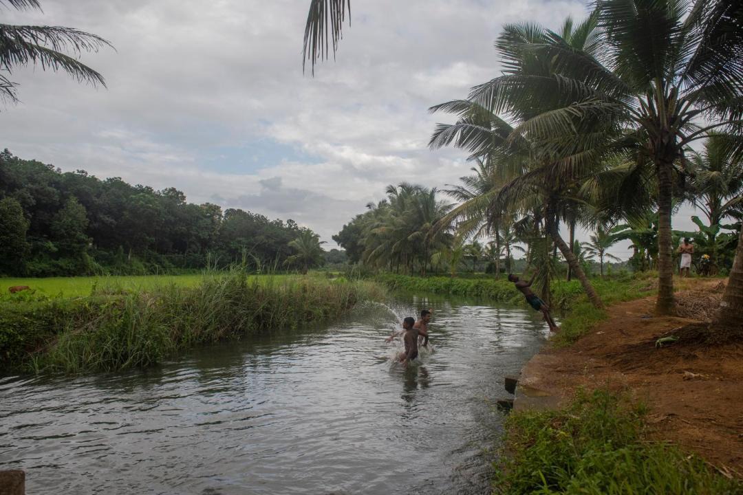 Photo of Outdoor in Kuttattukulam