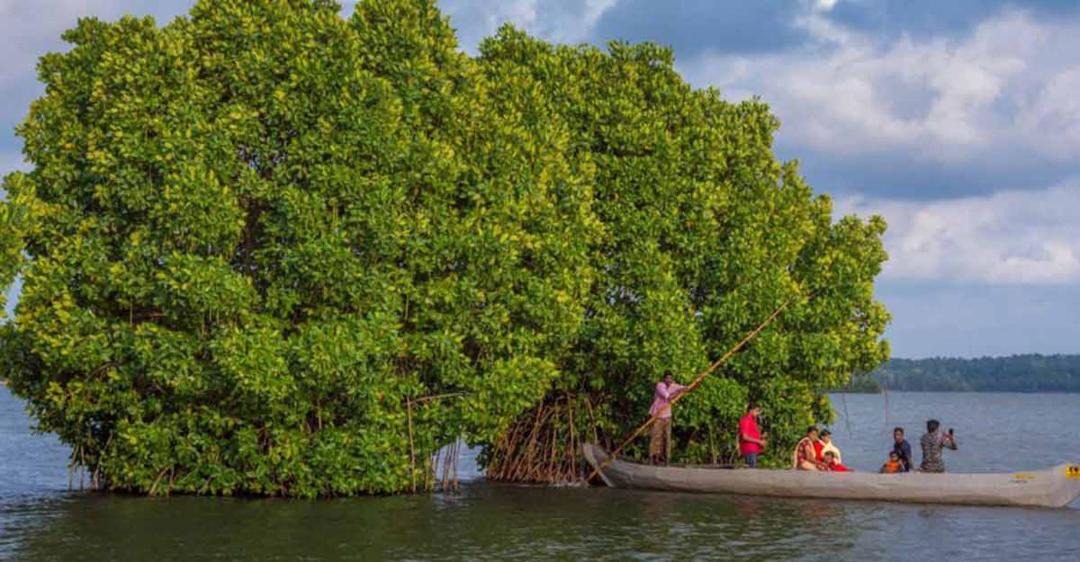 Photo of Outdoor in Munroe Island