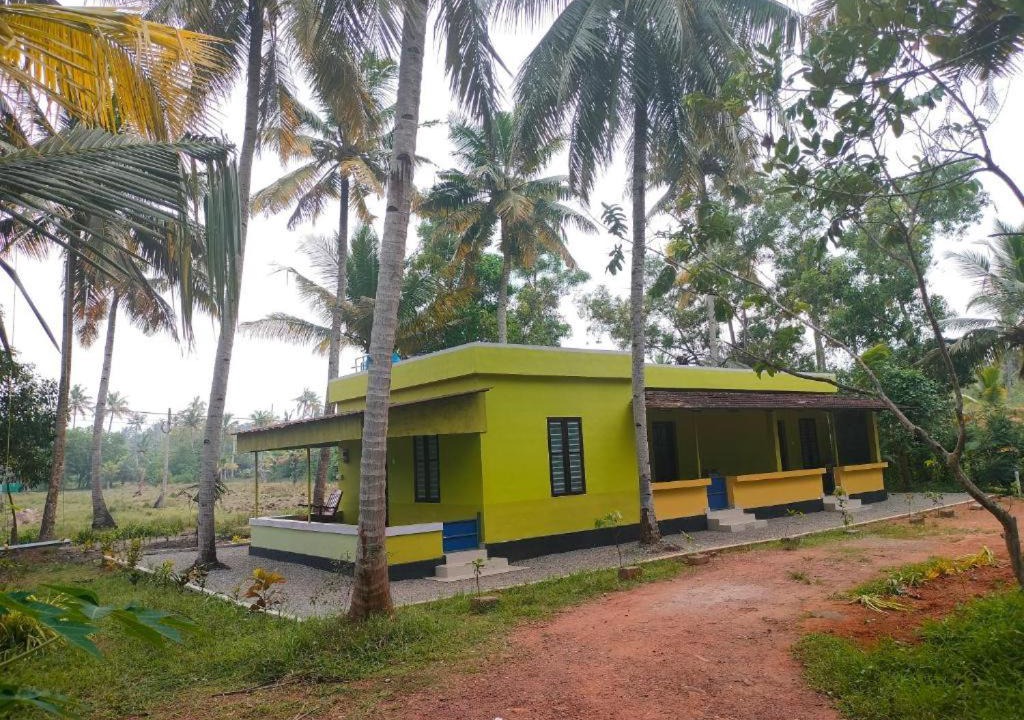 Photo of Buildings in Munroe Island