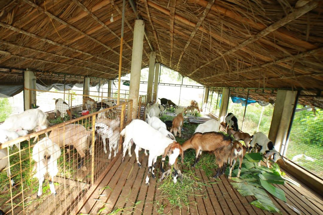 Photo of Others in Hosdurg