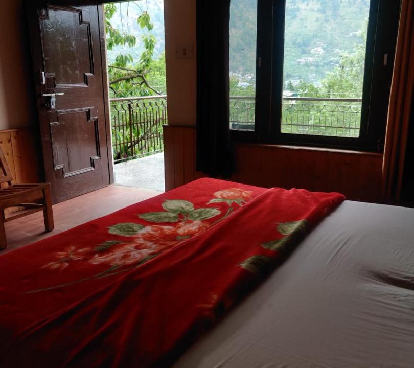 Photo of Others in Manali