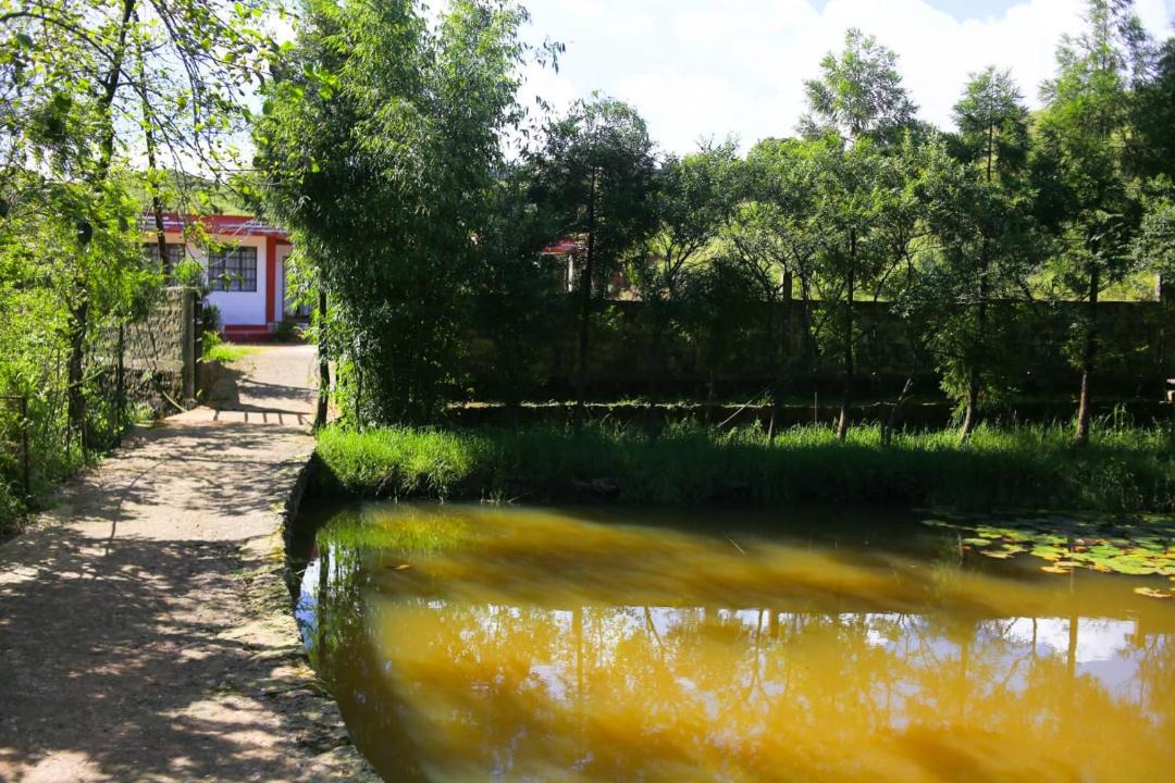 Photo of Outdoor in Cherrapunji