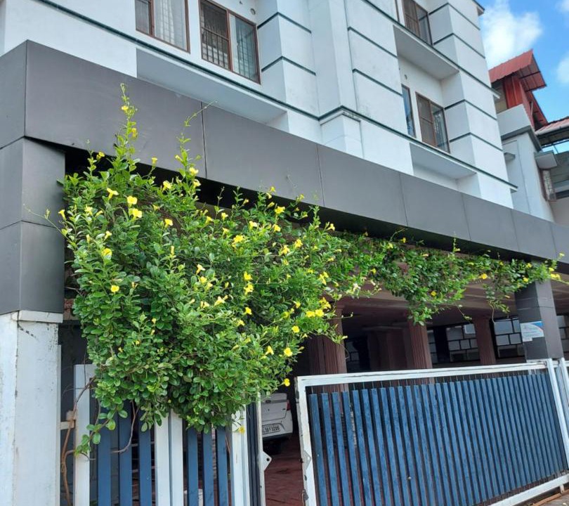 Photo of Others in Kochi