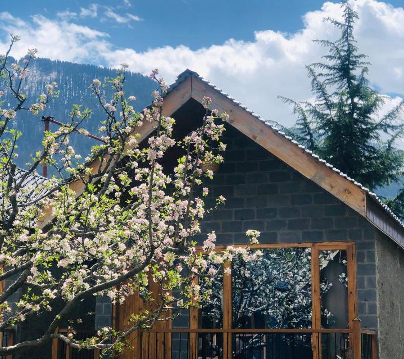 Photo of Others in Manali