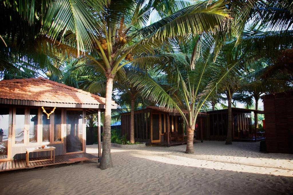 Photo of Others in Agonda
