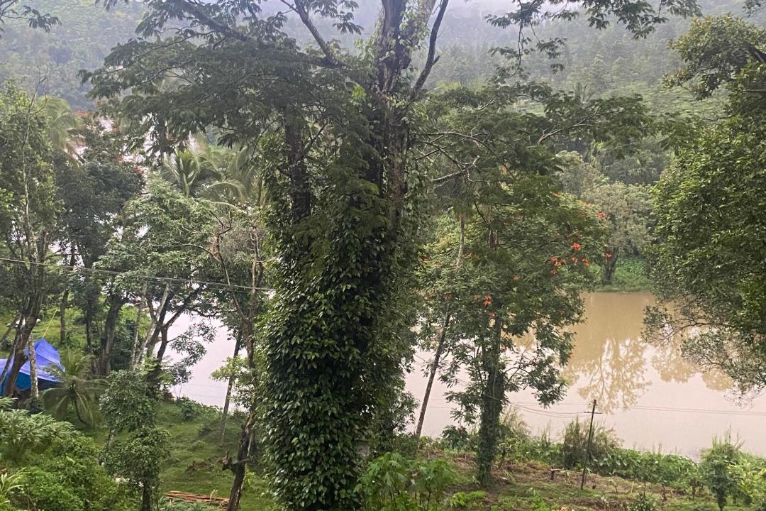 Photo of Outdoor in Pirmed
