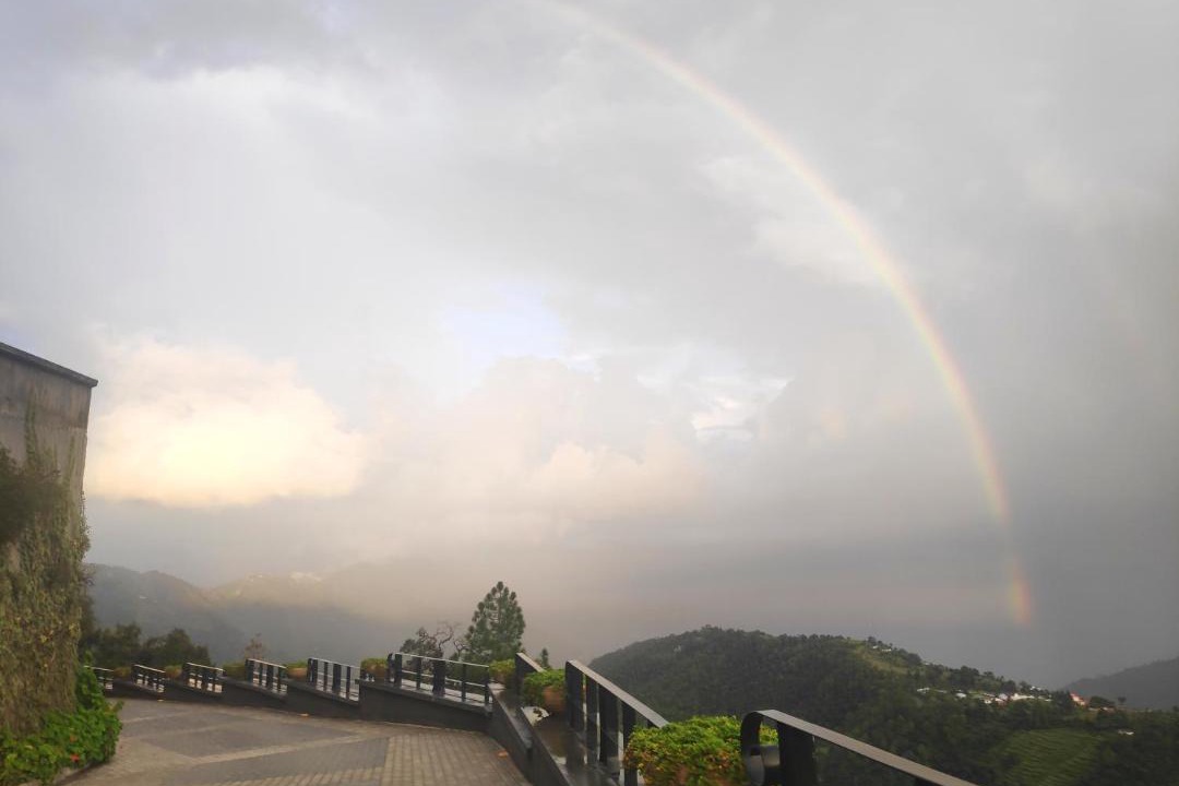 Photo of Others in Shimla