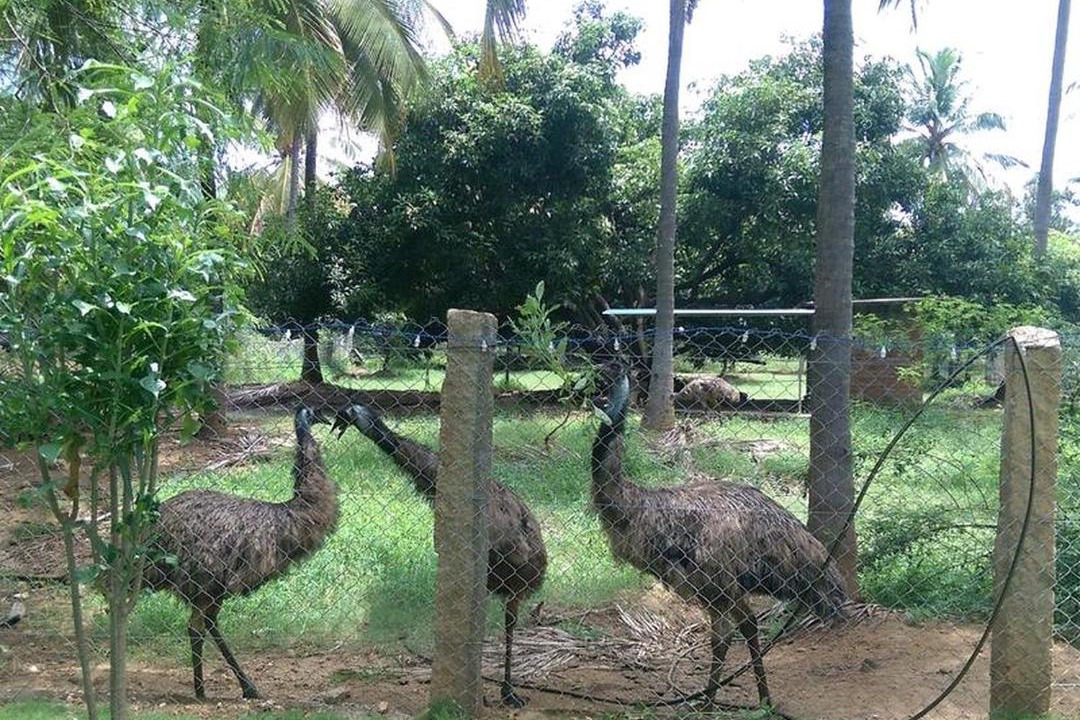 Photo of Others in Chittur