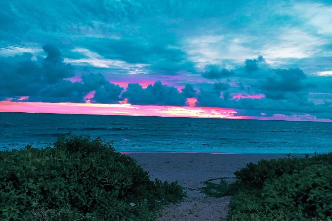 Photo of Others in Kannur