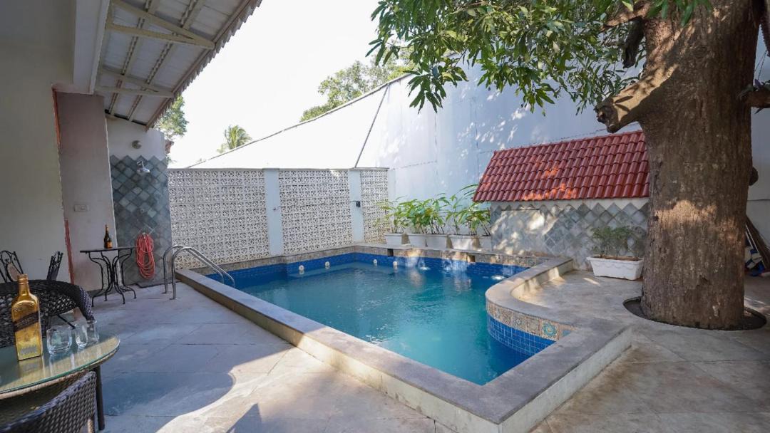 Photo of Outdoor in Baga