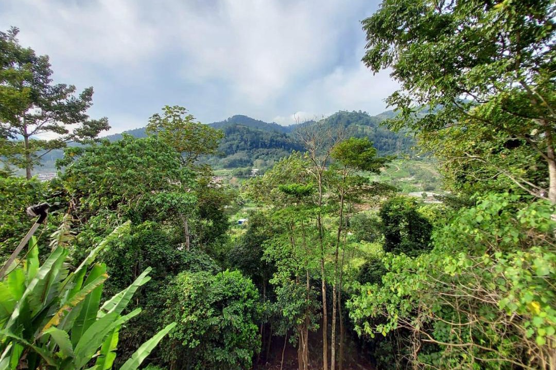 Photo of Others in Bukit Tinggi