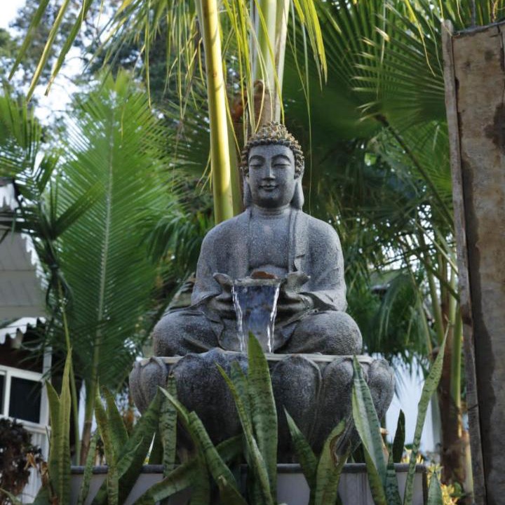 Photo of Others in Arambol