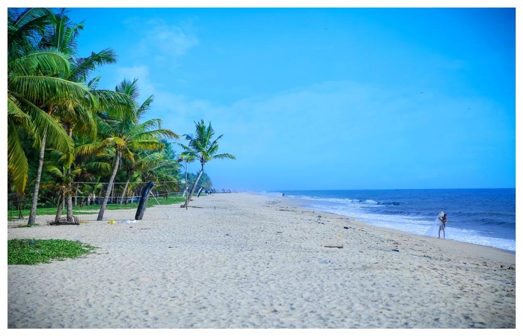 Photo of Others in Alappuzha