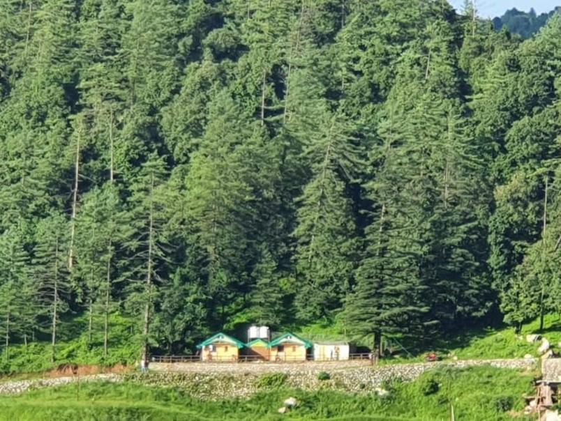 Photo of Others in Pangot