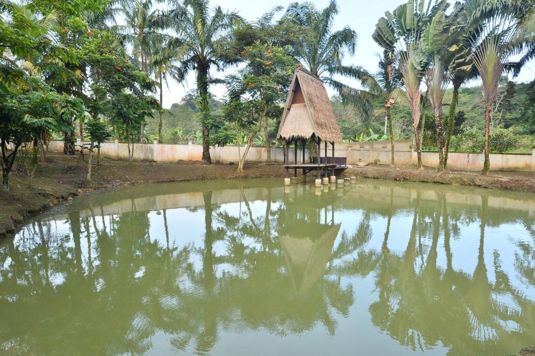 Photo of Outdoor in Janda Baik