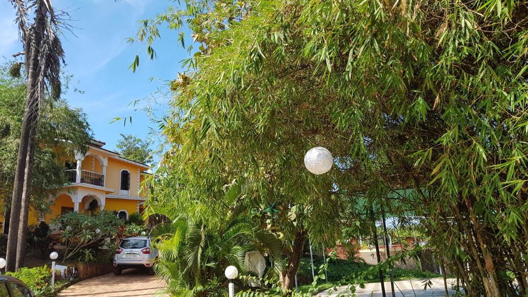 Photo of Others in Carambolim