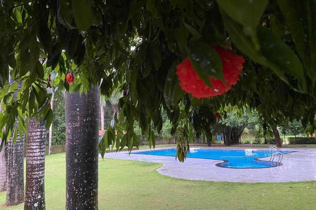 Photo of Outdoor in Palakkad
