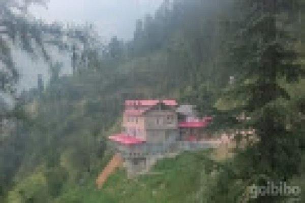 Photo of Others in Kufri