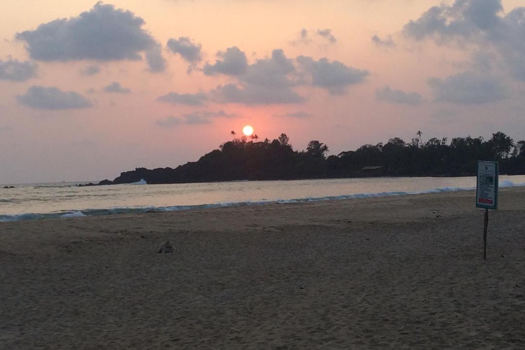 Photo of Others in Palolem