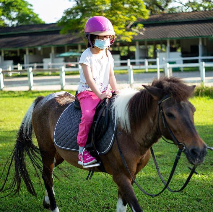 Photo of Others in Kulai