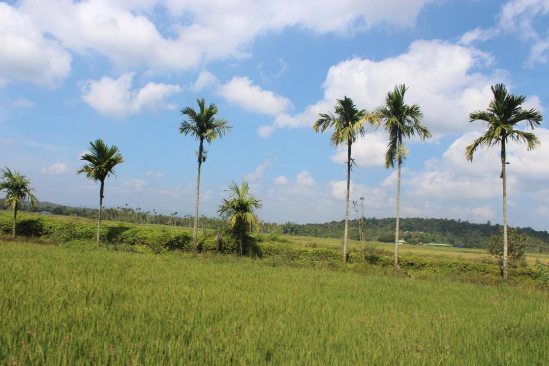Photo of Others in Panamaram