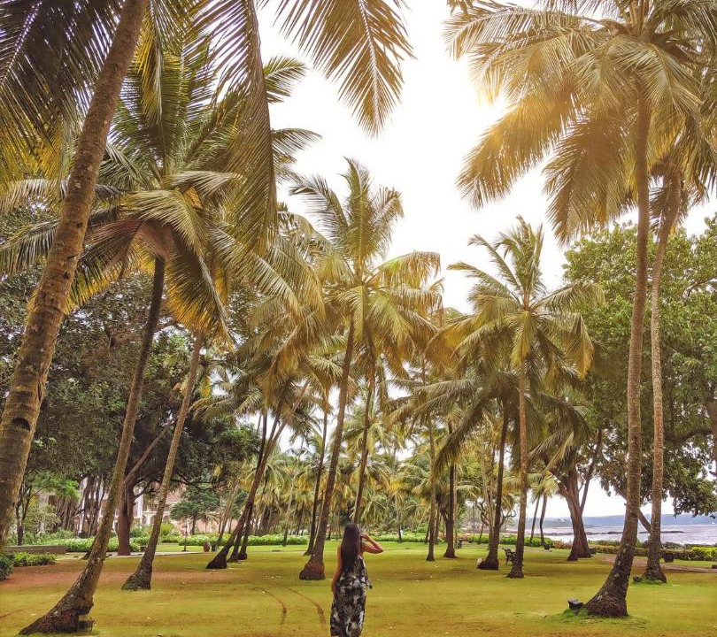 Photo of Others in Bambolim