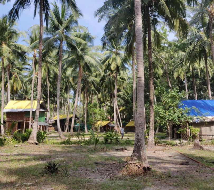 Photo of Others in Havelock Island