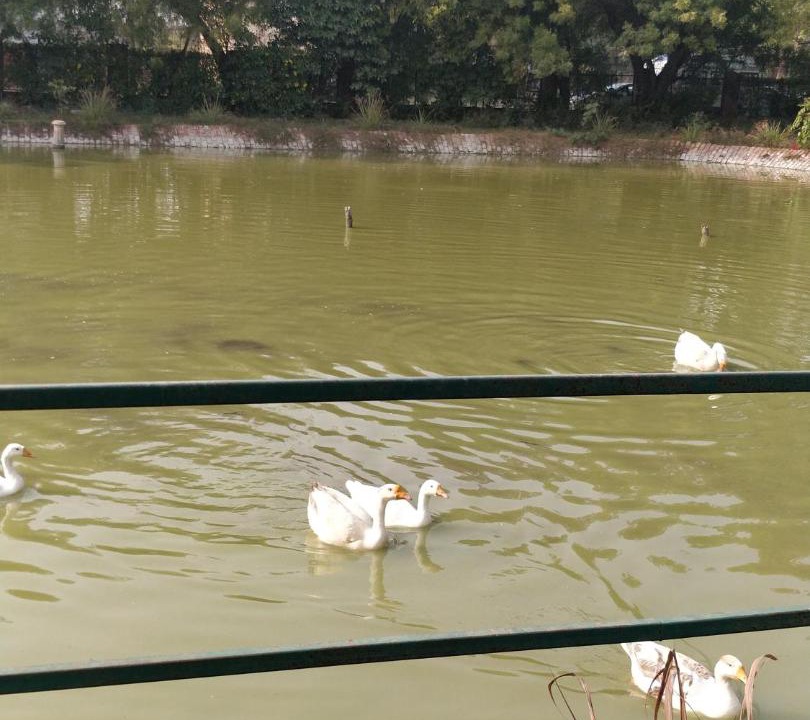 Photo of Others in Taj Ganj