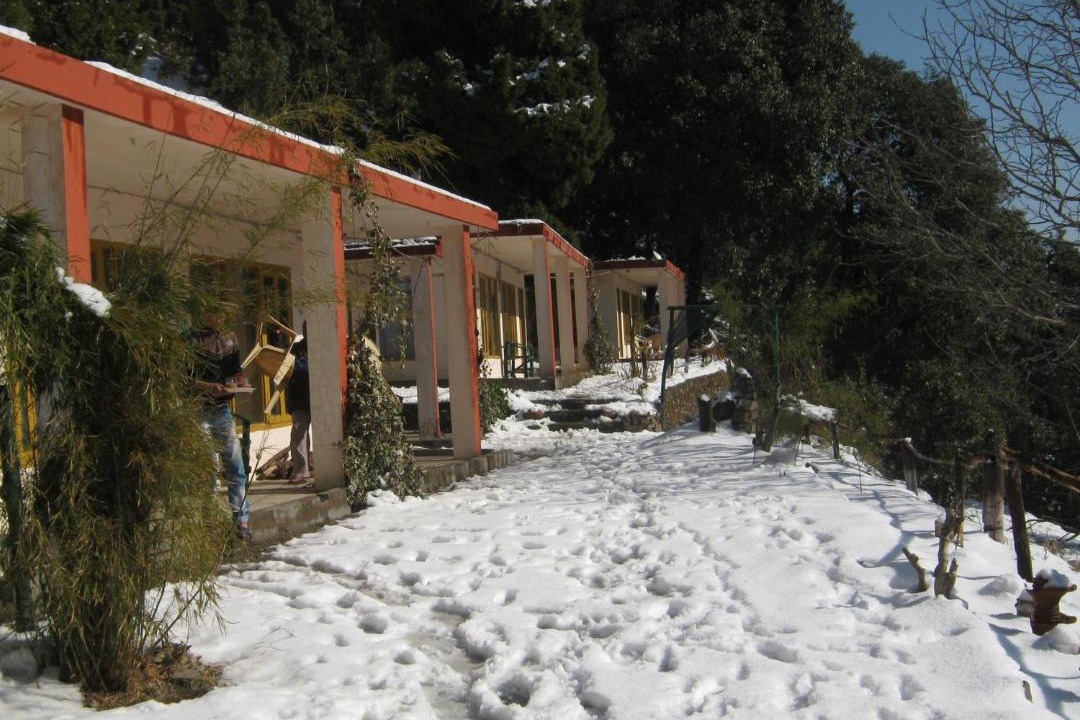 Photo of Buildings in Pangot