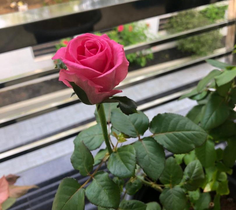 Photo of Patio Balcony in Guruvayur