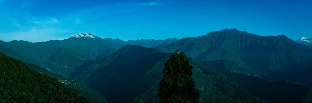 Photo of Others in Pelling