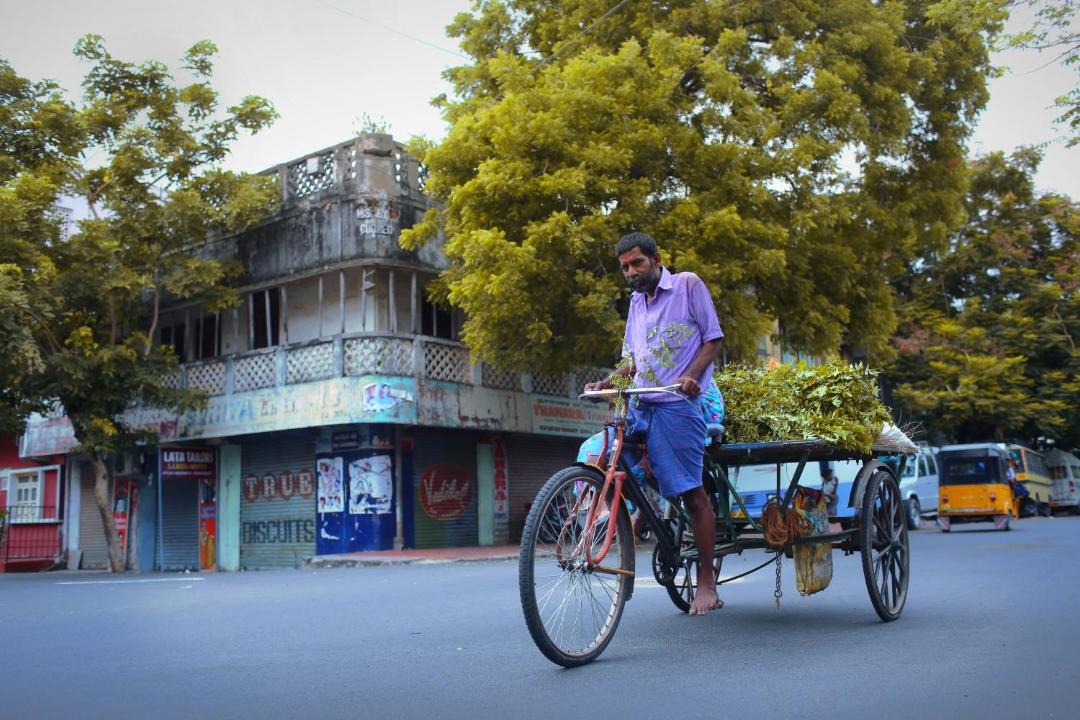 Photo of Others in White Town