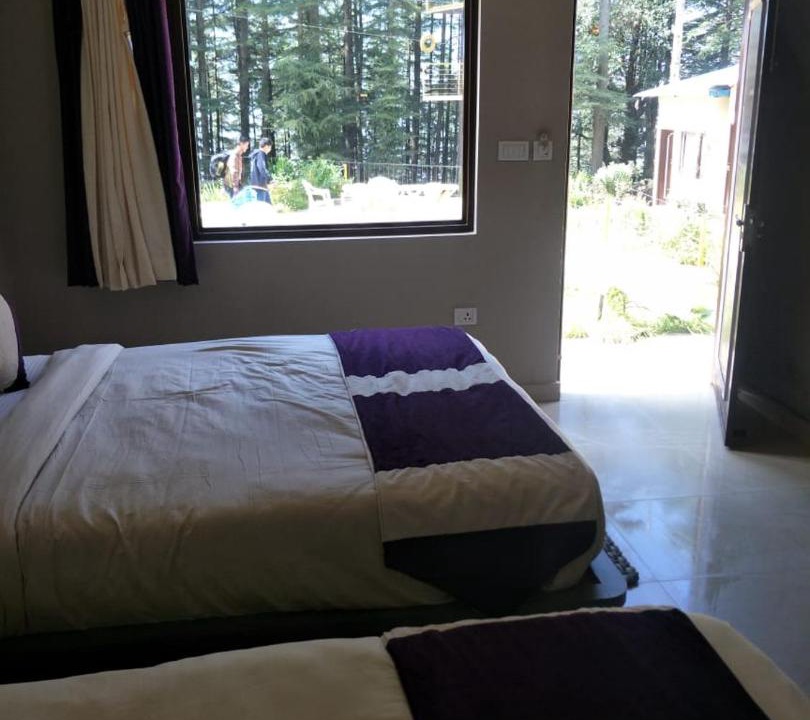 Photo of Others in Dhanaulti