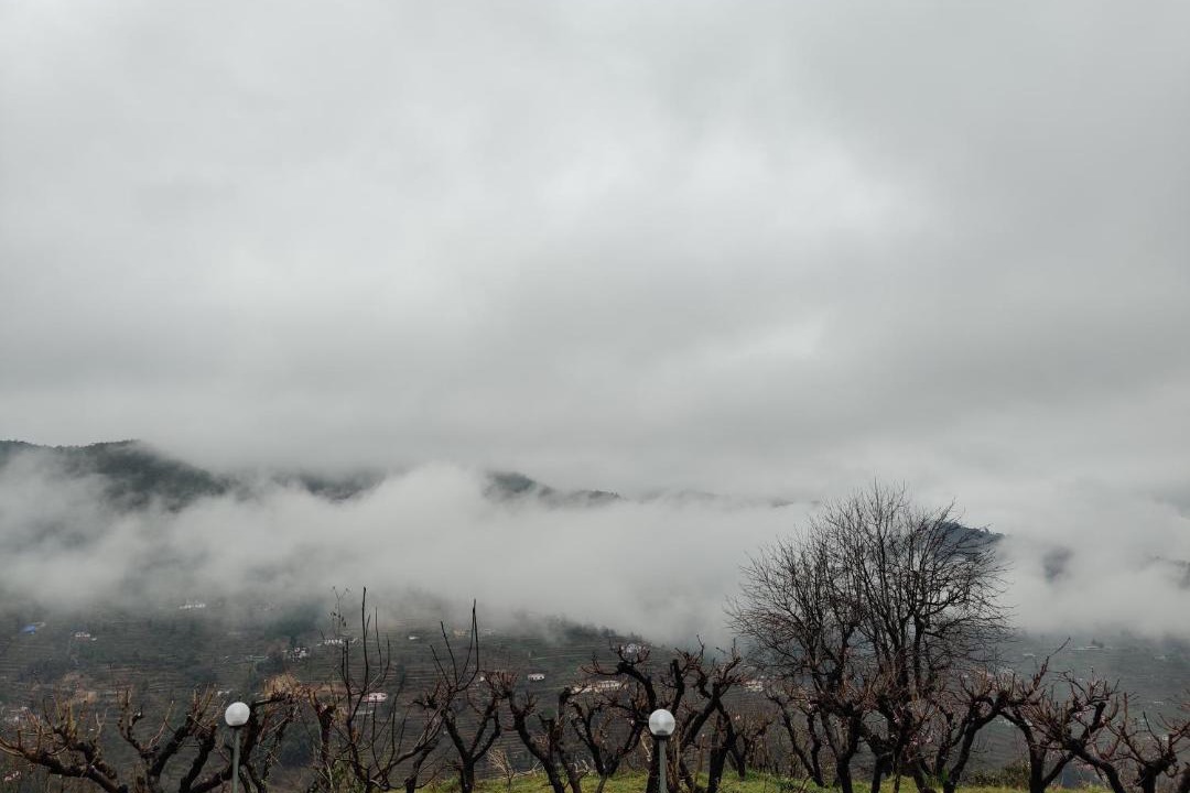Photo of Others in Mukteshwar