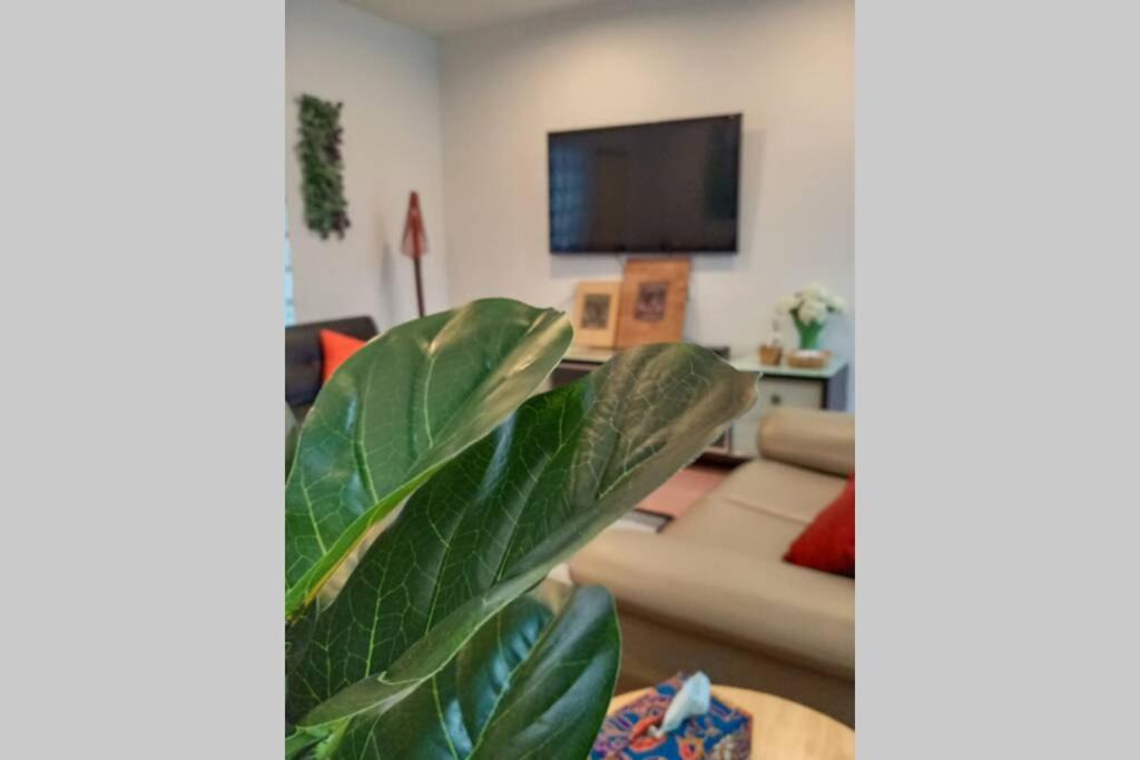 Photo of Livingroom in Tanjung Tokong
